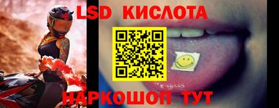 стаф Гудермес