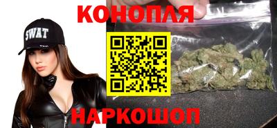 стаф Гудермес