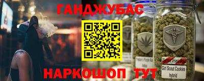 стаф Гудермес