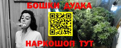 стаф Гудермес