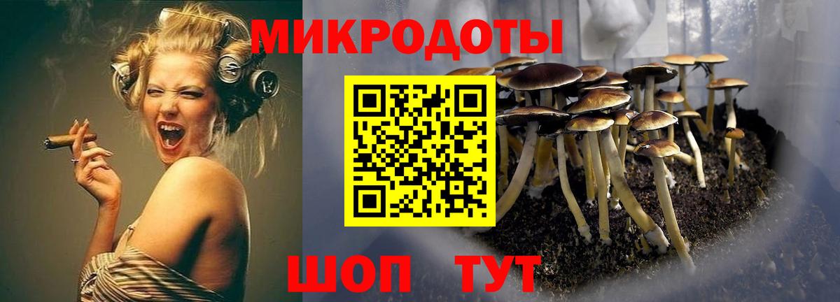 Псилоцибиновые грибы GOLDEN TEACHER Видное